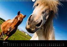 Bernd-Schiedl-Island_Geboren_aus_Eis-Und_Feuer_08