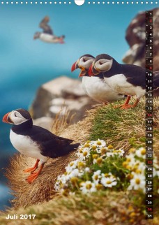 Bernd-Schiedl-Island-Insel-unter-dem-Nordlicht_08