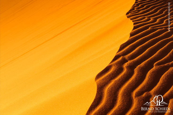 Sand Dunes at Coral Pink Sandndunes Sand Dunes at Coral Pink Sandndunes