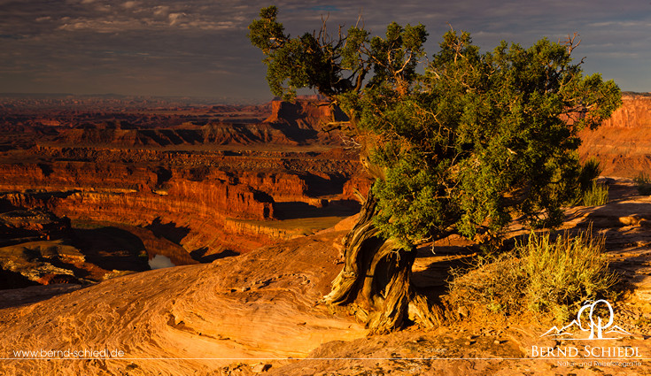 Canyonlands